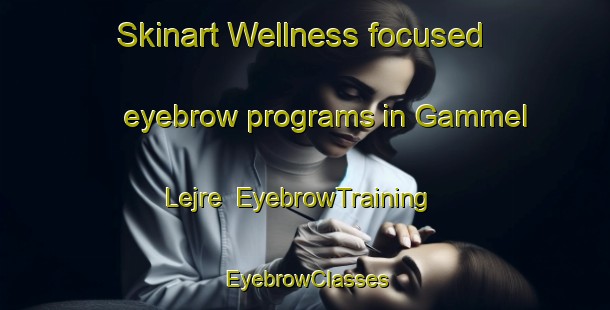 Skinart Wellness-focused eyebrow programs in Gammel Lejre | EyebrowTraining | EyebrowClasses | SkinartTraining-Denmark