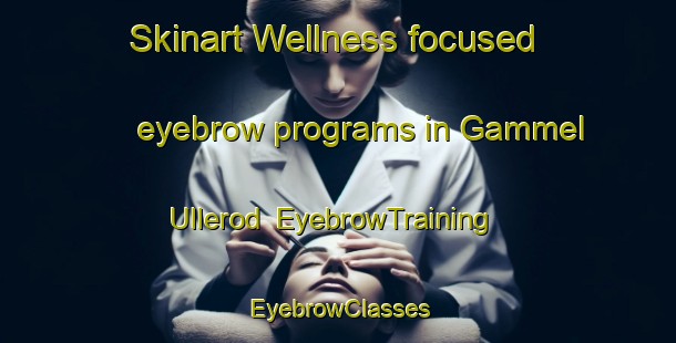 Skinart Wellness-focused eyebrow programs in Gammel Ullerod | EyebrowTraining | EyebrowClasses | SkinartTraining-Denmark