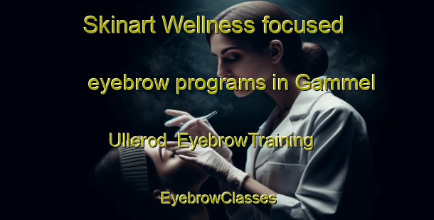 Skinart Wellness-focused eyebrow programs in Gammel Ullerod | EyebrowTraining | EyebrowClasses | SkinartTraining-Denmark