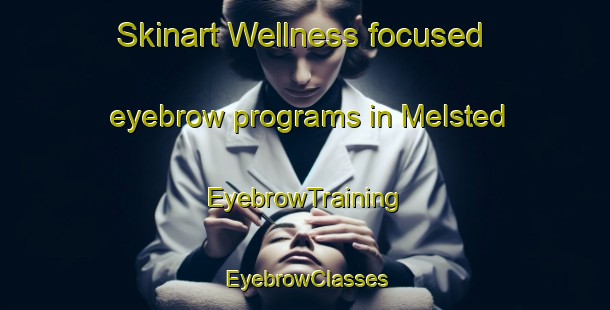 Skinart Wellness-focused eyebrow programs in Melsted | EyebrowTraining | EyebrowClasses | SkinartTraining-Denmark