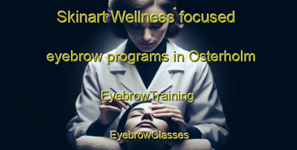 Skinart Wellness-focused eyebrow programs in Osterholm | EyebrowTraining | EyebrowClasses | SkinartTraining-Denmark