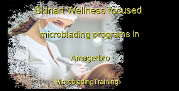 Skinart Wellness-focused microblading programs in Amagerbro | MicrobladingTraining | MicrobladingClasses | SkinartTraining-Denmark