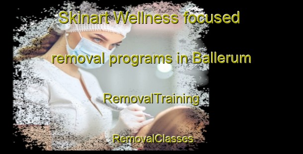 Skinart Wellness-focused removal programs in Ballerum | RemovalTraining | RemovalClasses | SkinartTraining-Denmark