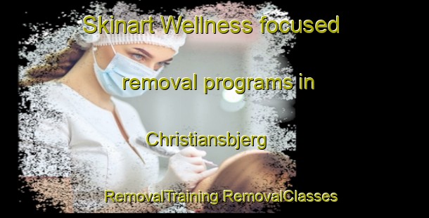 Skinart Wellness-focused removal programs in Christiansbjerg | #RemovalTraining #RemovalClasses #SkinartTraining-Denmark