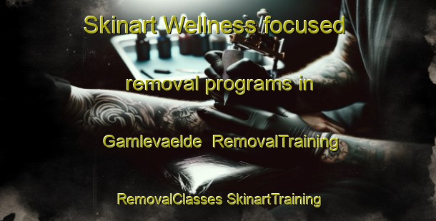 Skinart Wellness-focused removal programs in Gamlevaelde | #RemovalTraining #RemovalClasses #SkinartTraining-Denmark