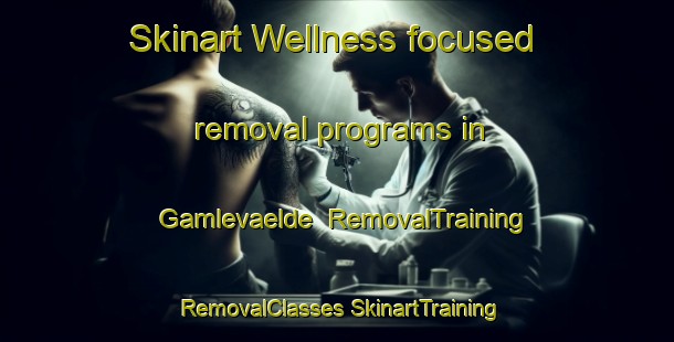 Skinart Wellness-focused removal programs in Gamlevaelde | #RemovalTraining #RemovalClasses #SkinartTraining-Denmark