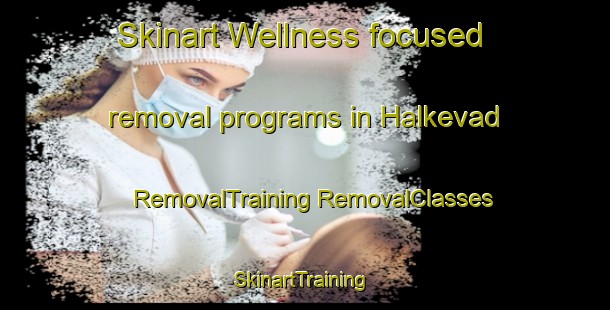 Skinart Wellness-focused removal programs in Halkevad | #RemovalTraining #RemovalClasses #SkinartTraining-Denmark