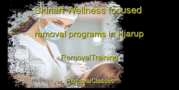 Skinart Wellness-focused removal programs in Hjarup | RemovalTraining | RemovalClasses | SkinartTraining-Denmark