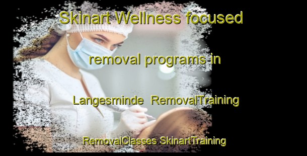 Skinart Wellness-focused removal programs in Langesminde | #RemovalTraining #RemovalClasses #SkinartTraining-Denmark