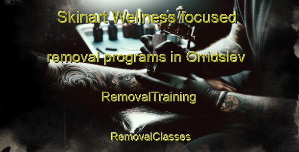 Skinart Wellness-focused removal programs in Orridslev | RemovalTraining | RemovalClasses | SkinartTraining-Denmark