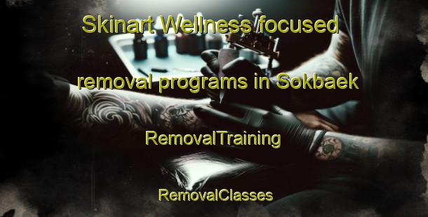 Skinart Wellness-focused removal programs in Sokbaek | RemovalTraining | RemovalClasses | SkinartTraining-Denmark