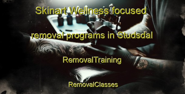 Skinart Wellness-focused removal programs in Studsdal | RemovalTraining | RemovalClasses | SkinartTraining-Denmark