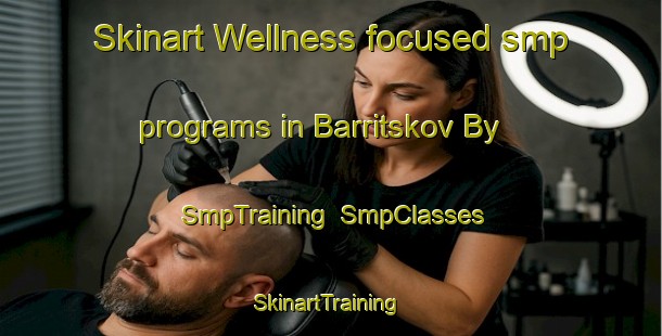 Skinart Wellness-focused smp programs in Barritskov By | SmpTraining | SmpClasses | SkinartTraining-Denmark