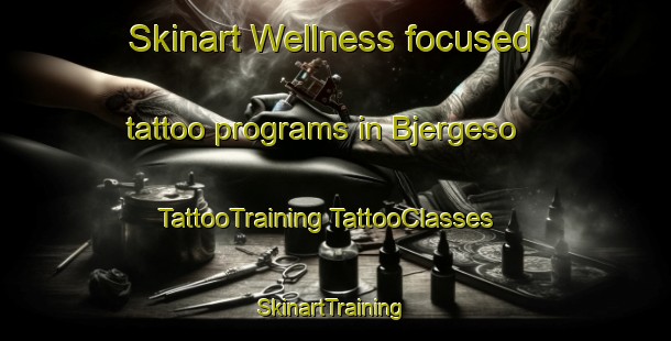 Skinart Wellness-focused tattoo programs in Bjergeso | #TattooTraining #TattooClasses #SkinartTraining-Denmark